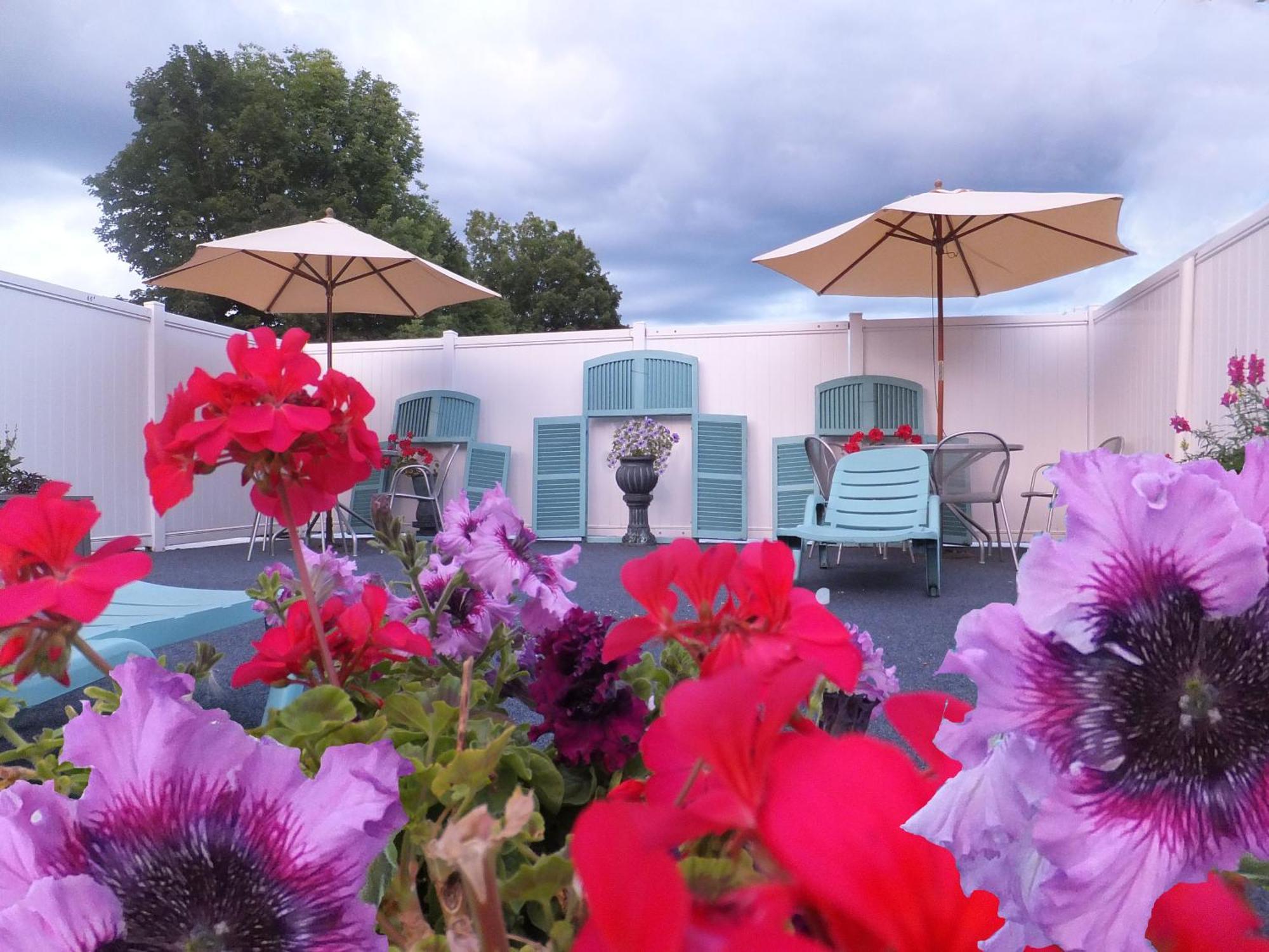 بحيرة جورج Windsor Motel المظهر الخارجي الصورة