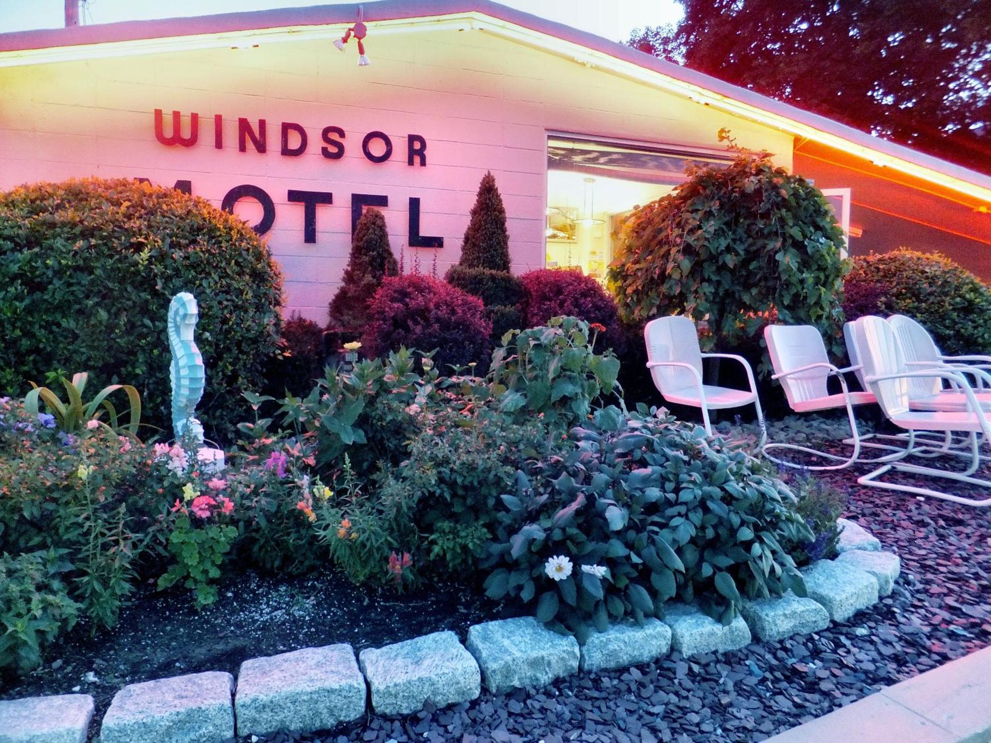 بحيرة جورج Windsor Motel المظهر الخارجي الصورة