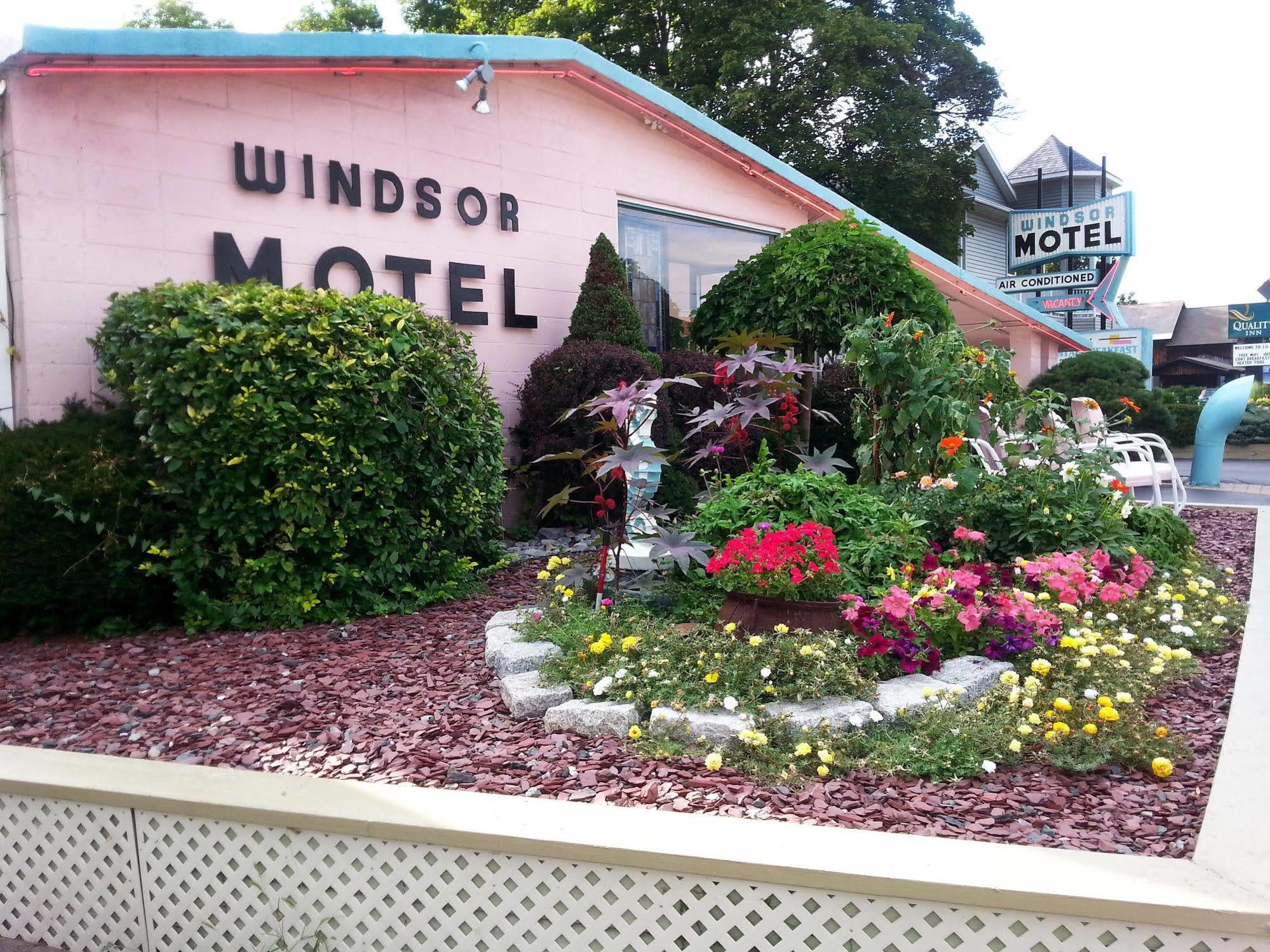 بحيرة جورج Windsor Motel المظهر الخارجي الصورة